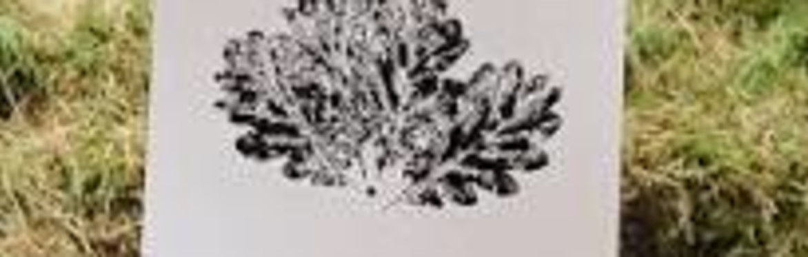 Seasonal Makers @ Fur Clemt - BOTANICAL MONOPRINTING