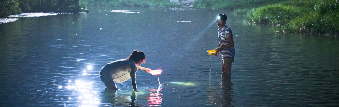 Little Forest - Korean Film Festival 2018