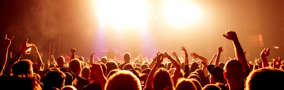 Group of people at a concert looking towards the bright lights of the stage