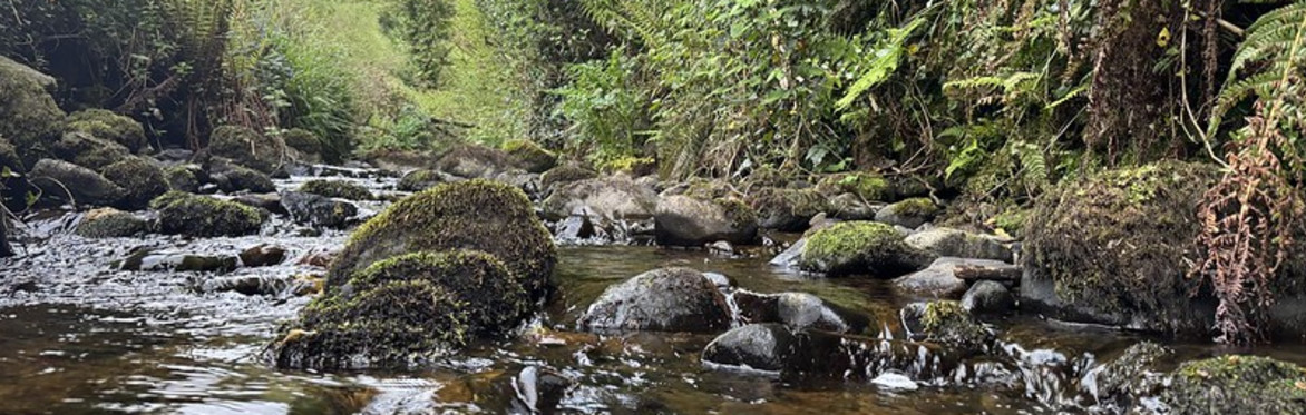 Graney - Waters of LIFE Habitat Training