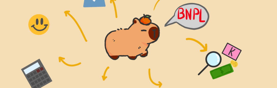 Money box pig with speech bubble 'BNPL'. Arrows from pig with money, calculator and a sunshine