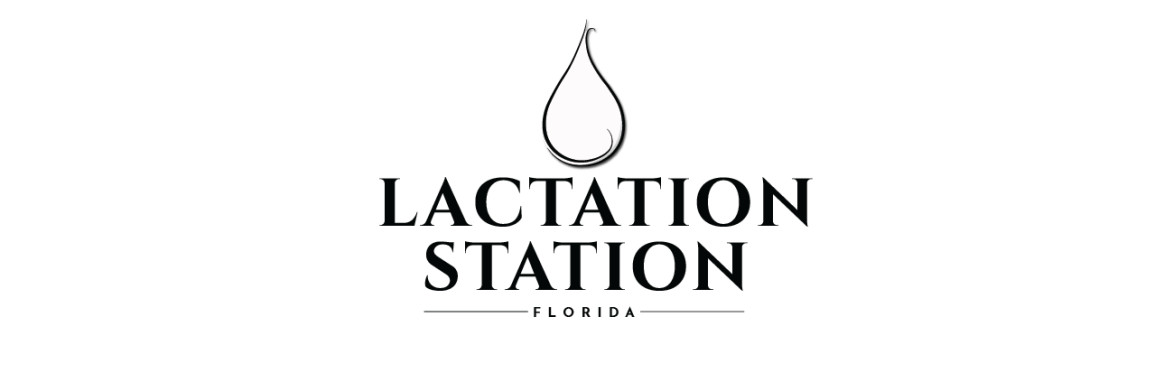 Professional Birth Workers Networking at Lactation Station