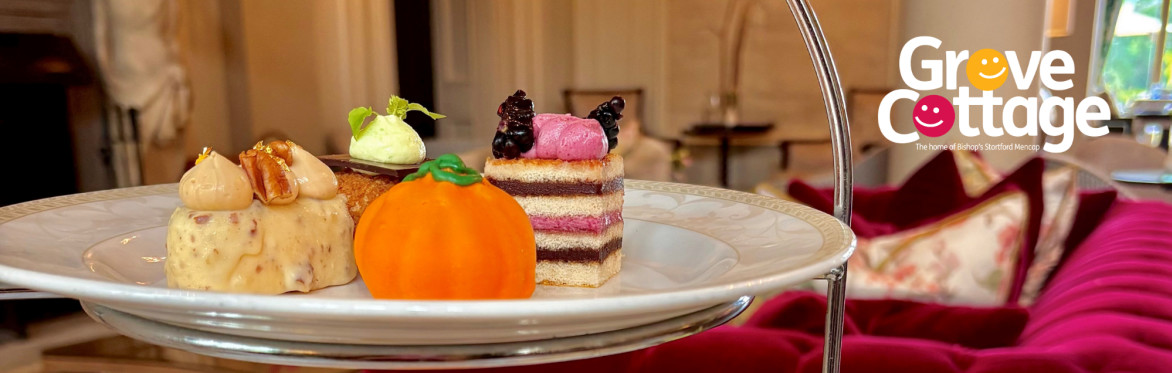 Musical Afternoon Tea at Down Hall