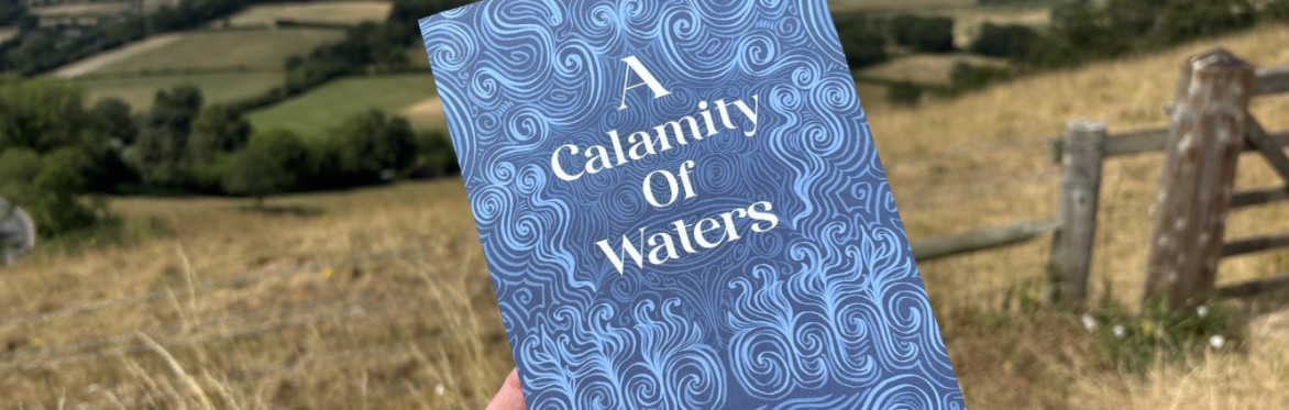 A copy of a paperback book with a blue cover held up in front of the landscape of the Severn Vale