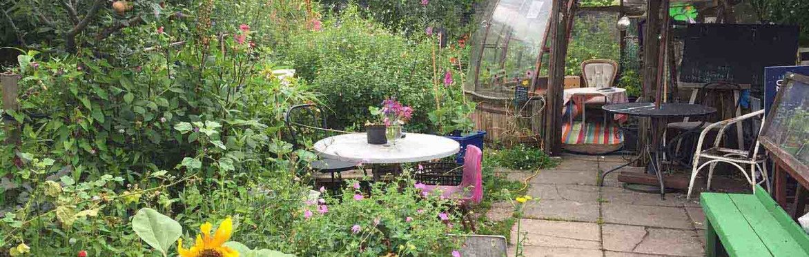 RtG Drop-In Open Garden Session 3: Canal Club Community Garden