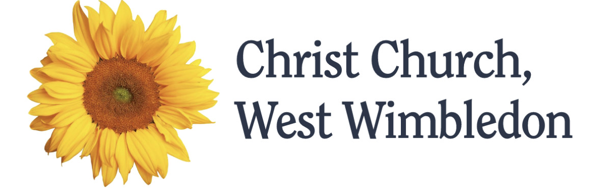 People's Emergency Briefing, Christ Church West Wimbledon Hall