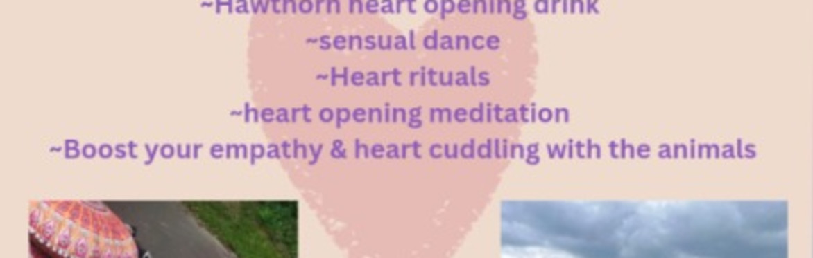 Heart awakening half day retreat