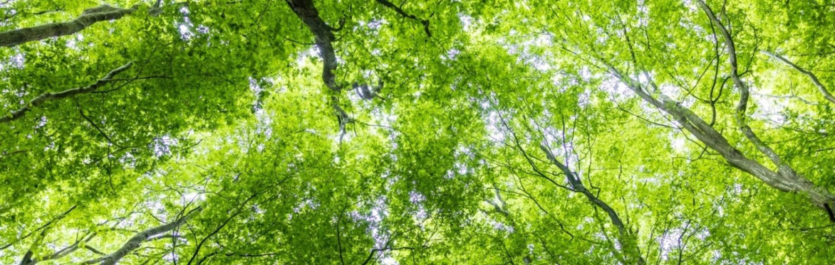 Symptom Management of End of Life