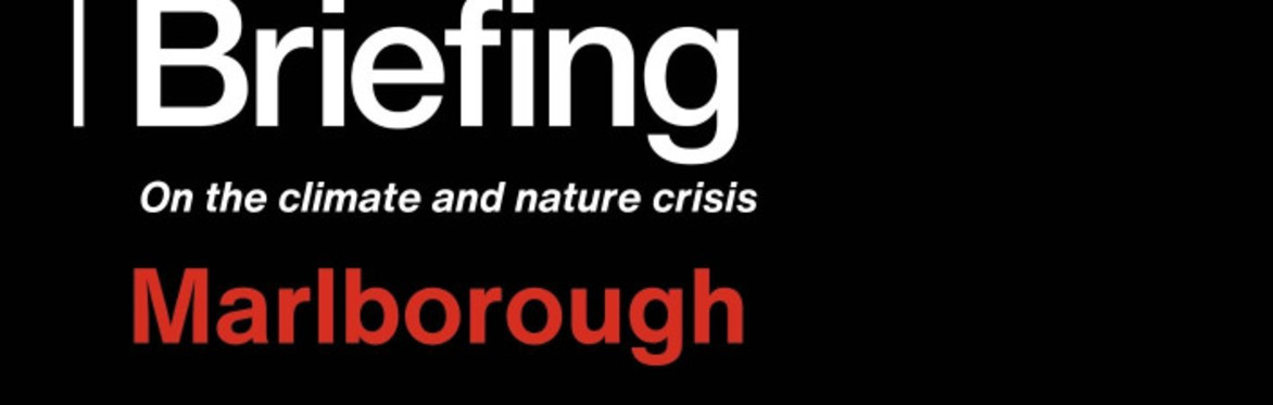National Emergency Briefing - film screening