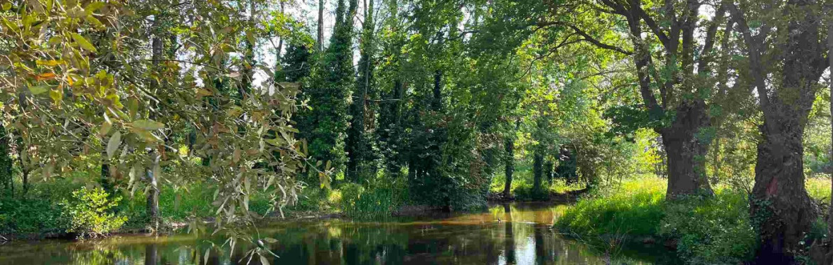 Seasonal Foraging in Yorkshire