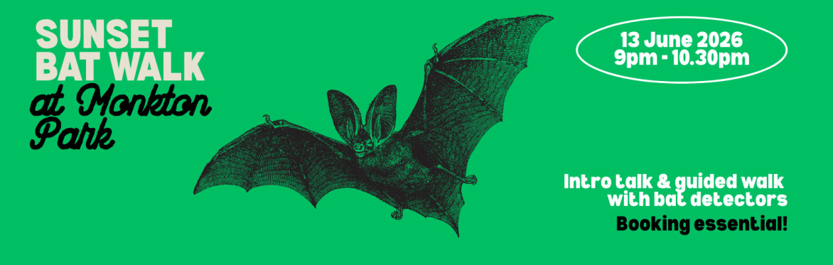 Sunset bat walk at Monkton Park