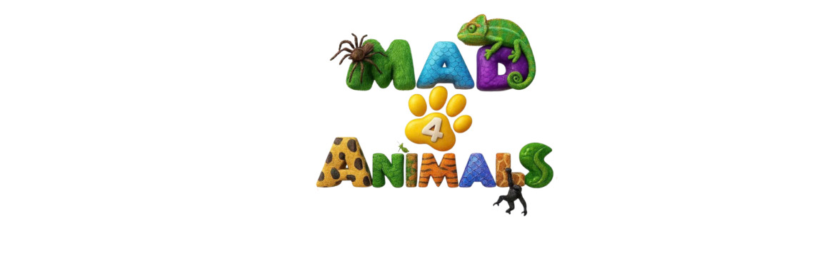 Get ready for Mad4Animals!