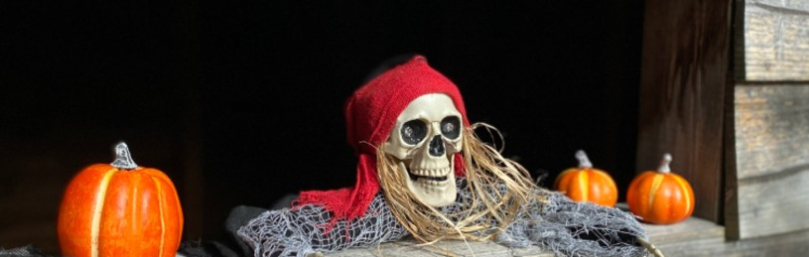 Halloween Activity - Billingford Nature Walks