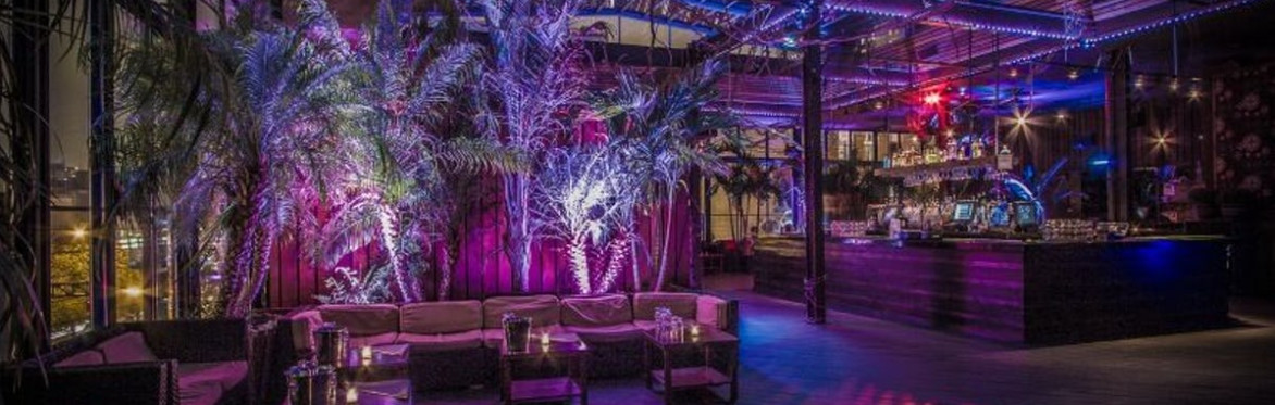 The DL Rooftop Lounge NYC Saturday Night's Admission 2022