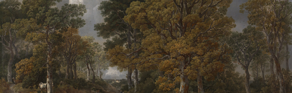 Cunning Folk of the Forest & Other Traditional Tales