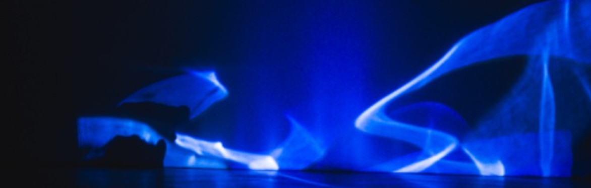 Flow////State___:      Flowers/Ghosts&Echoes //////// Arvind Ganga at 4bid Gallery, Amsterdam