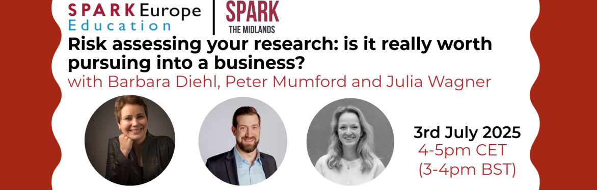 Risk assessing your research: is it really worth pursuing into a business?