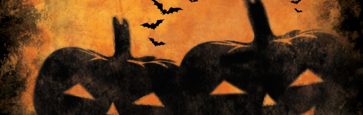 Halloween Trick or Treat Adult Bingo