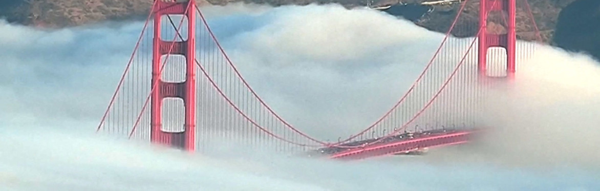 The Fog Town Hoedown 2026