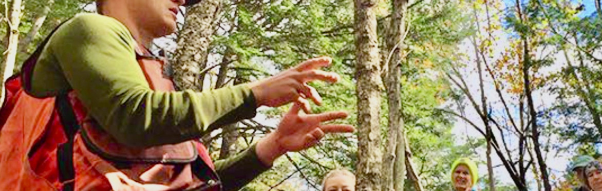 How to Love a Forest: The Surprising Story of Vermont’s Forests and What it Means to Care For Them