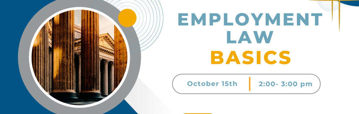 Employment Law 101