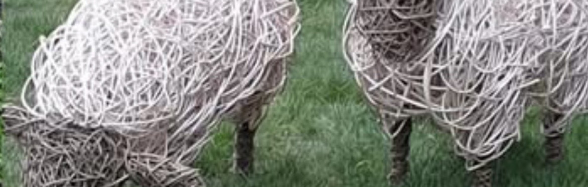 Willow Weaving - Sheep 🐑