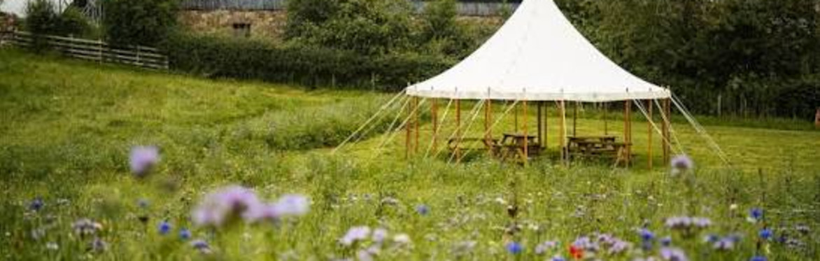 Green and colourfull flower farm and tent
