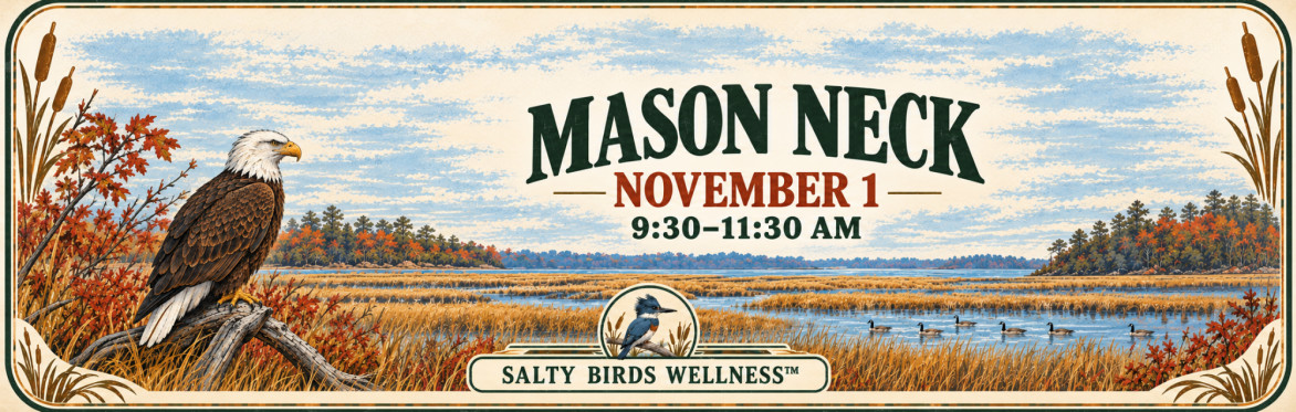Mason Neck: Eagles + Autumn Skies