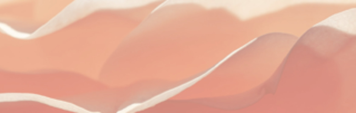Moving in Wholeness - Intro to Feldenkrais Method (r)
