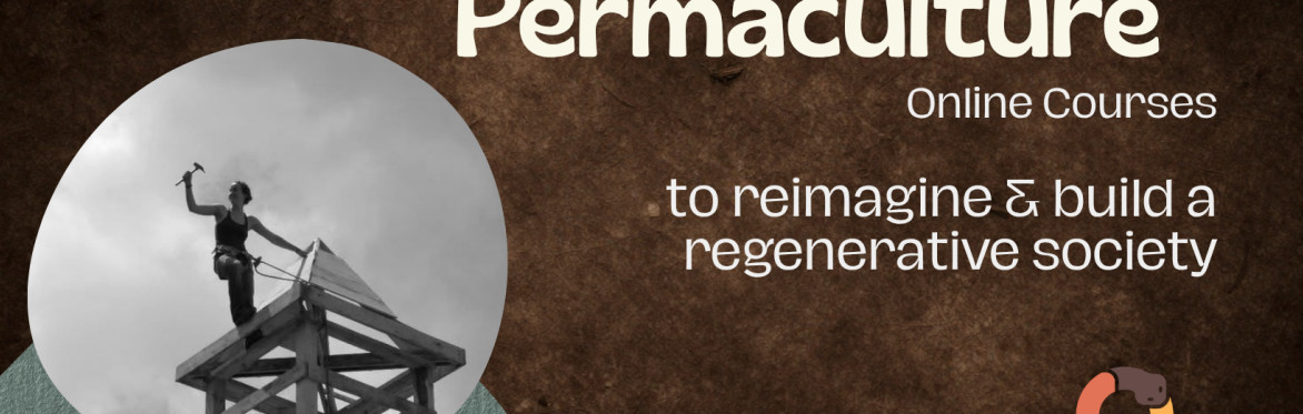 Online Social Permaculture Course by Community Lab