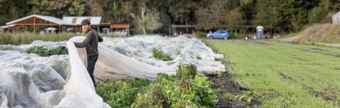 Building Resilience on your CSA