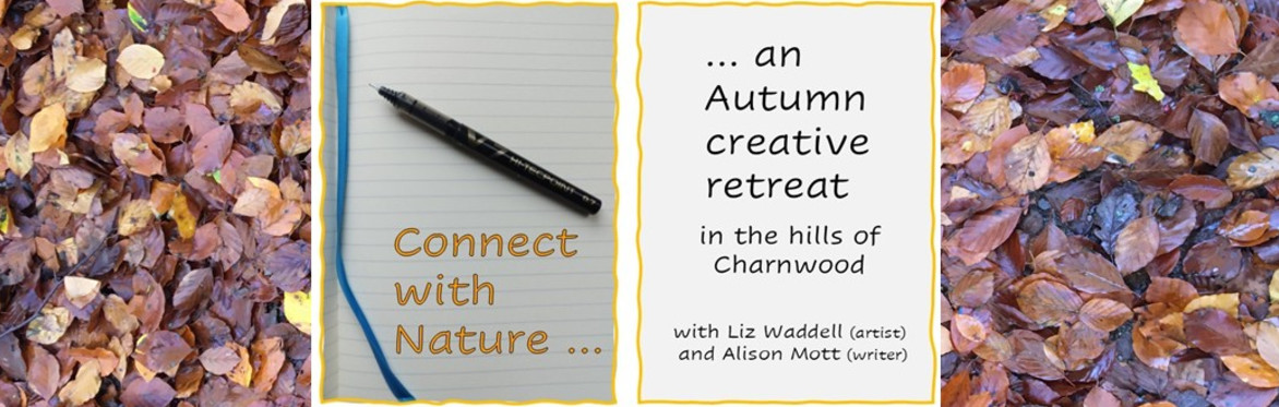 Connect with Nature Autumn Retreat