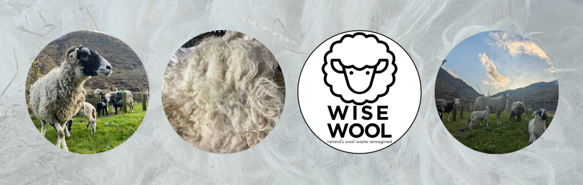 Wet felting for ages 6+
