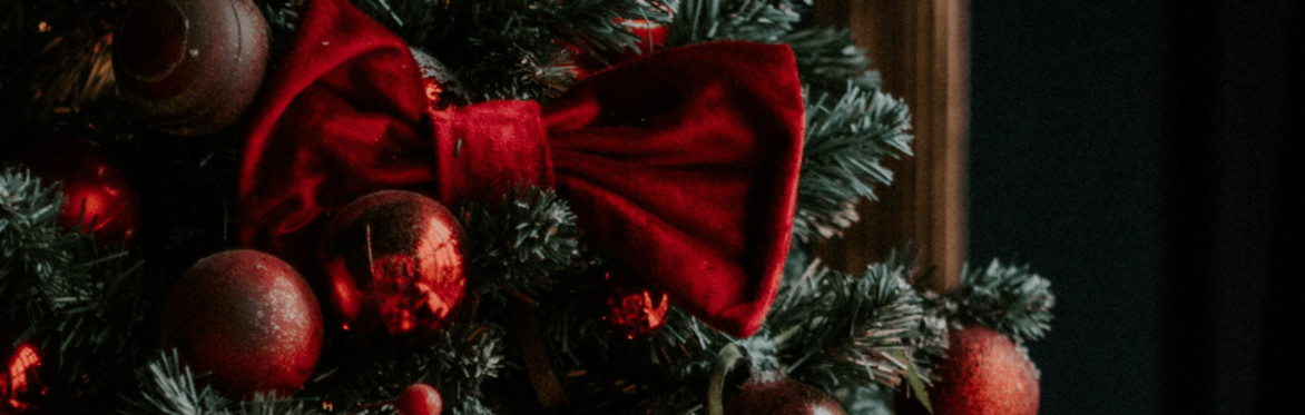 Christmas Lunch at The Baked Apple