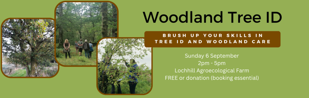 Woodland Tree ID
