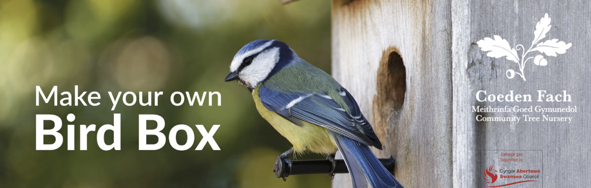 Make your own Bird Box