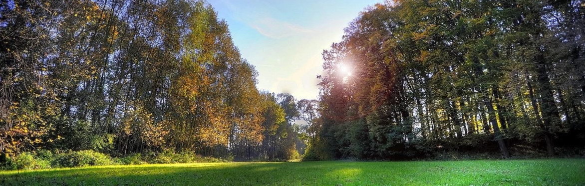 Castle grounds
