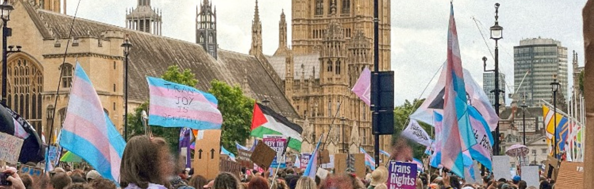 trans+ pride 2025, a sea of people gathered outside parliament, waving trans flags