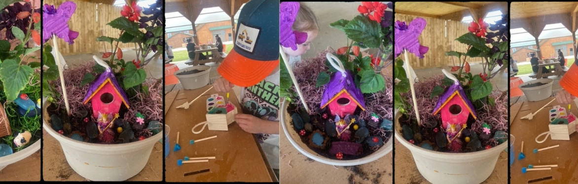 Fairy Gardens on Riamede Farm!