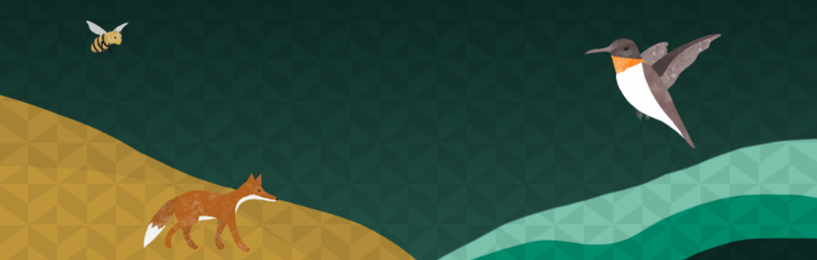 Bee, fox and hummingbird on abstract background