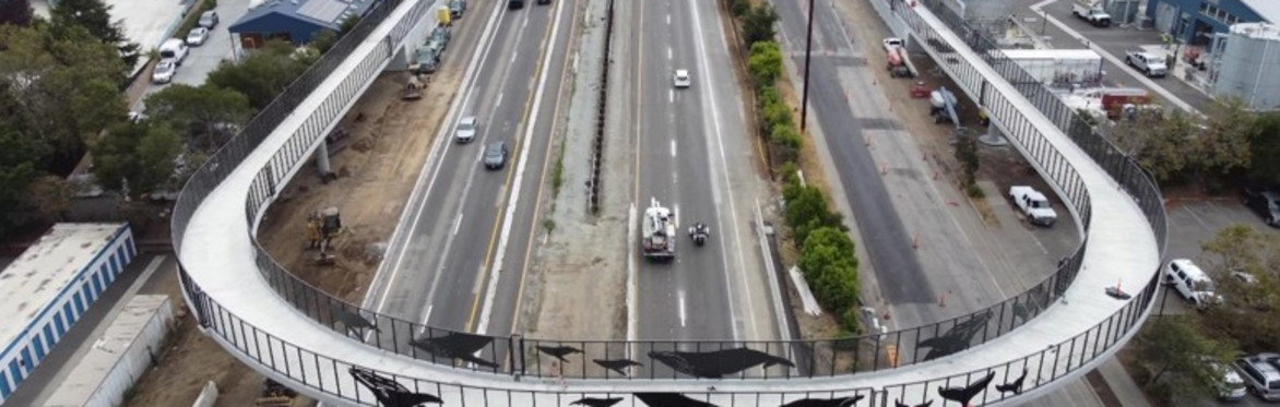 Santa Cruz Highway 1 Bridge Tour