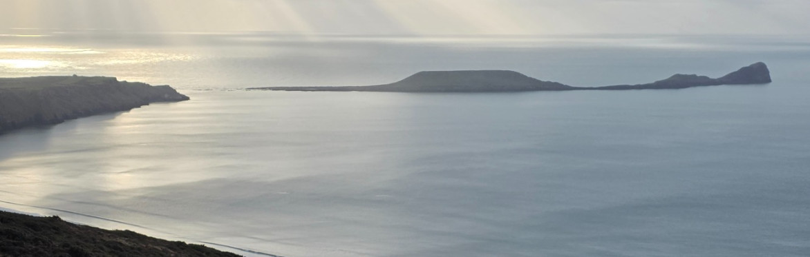 sunbeams on worms head