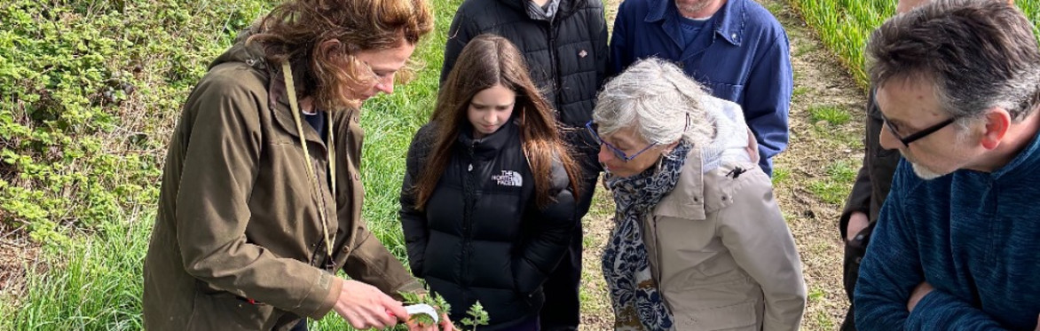 Cotswold foraging walks at Bruern Farms, near Chipping Norton