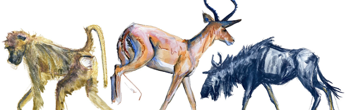 Drawing Animals with Polly Hosp