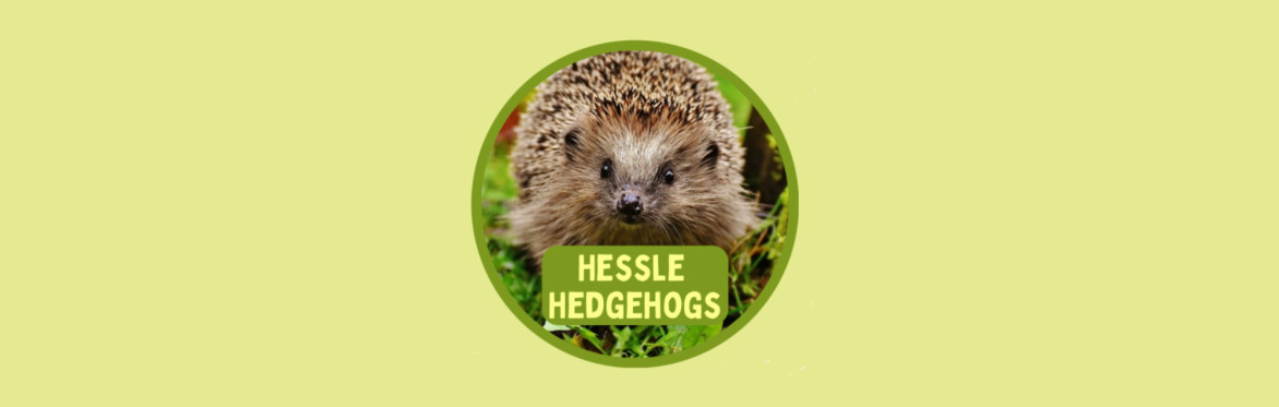 Hessle Hedgehogs Afternoon Cream Tea