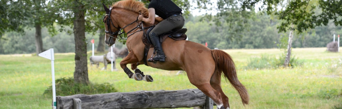 The Rider Reset: Competition Preparation Workshop