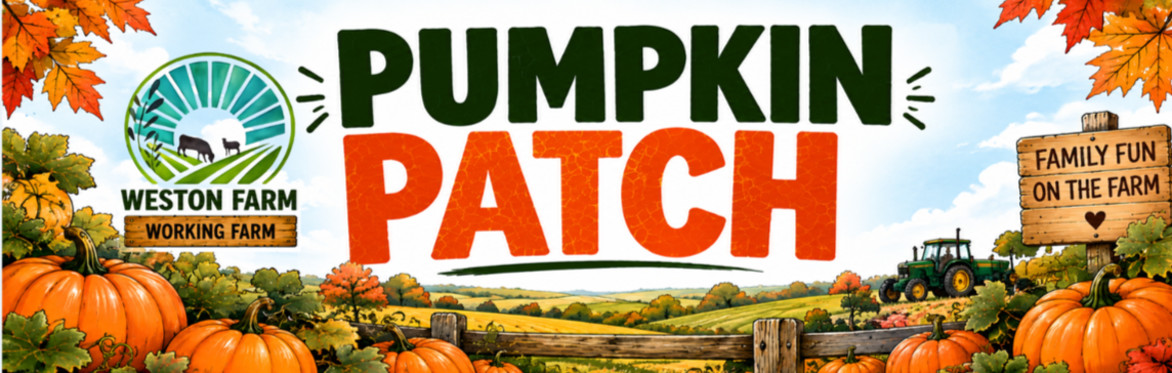 Weston Farm PYO Pumpkin Patch!