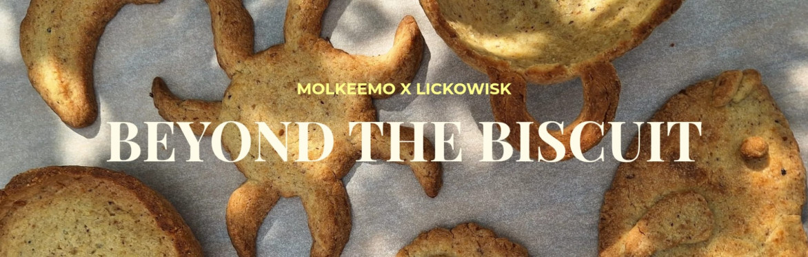 Beyond the biscuit