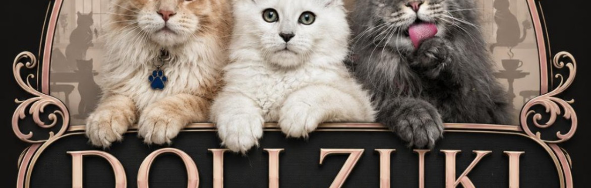 An Evening with Dollzuki Maine Coon Cats at The Bushel and Strike, Ashwell