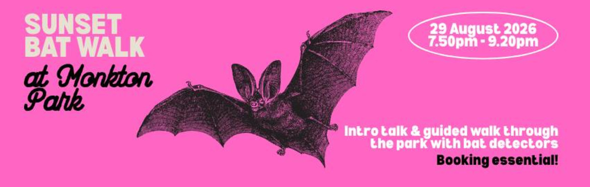 Sunset bat walk at Monkton Park